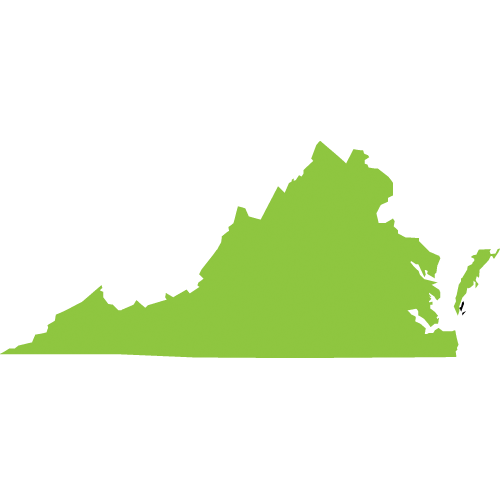 Virginia Icon