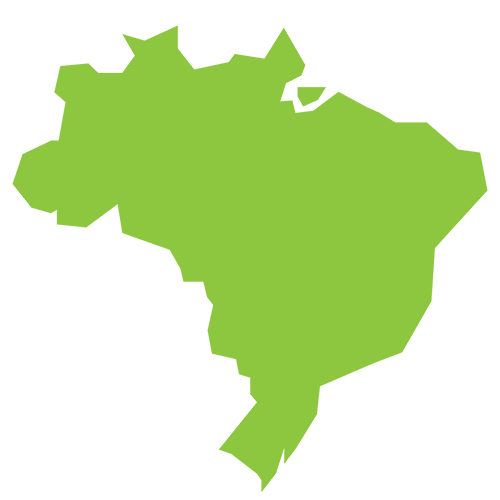 icon of brazil