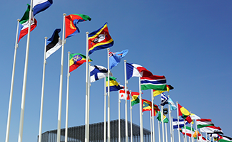 flags flying over UN building