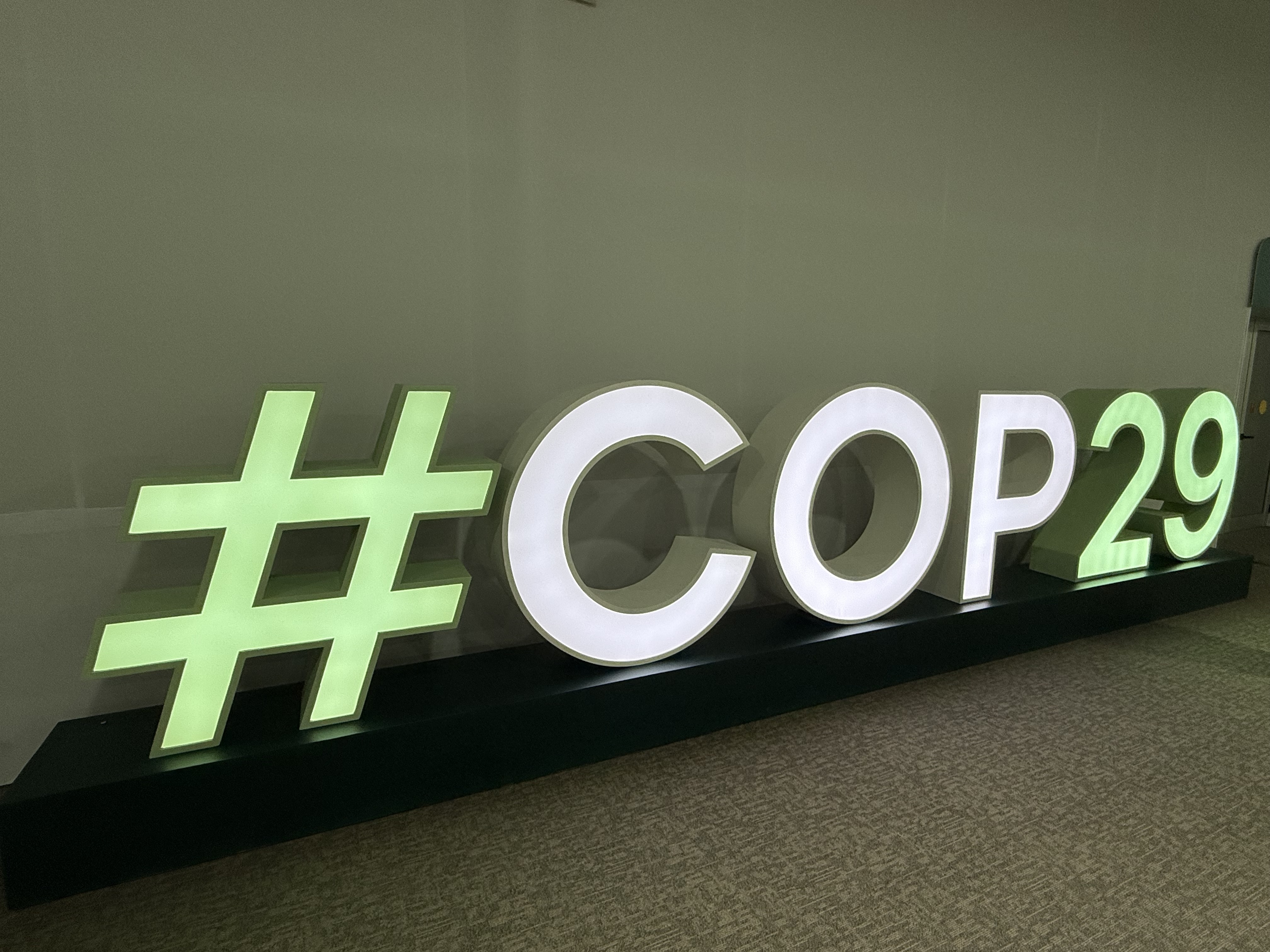 Four Takeaways from COP 29 Week One | The Climate Reality Project