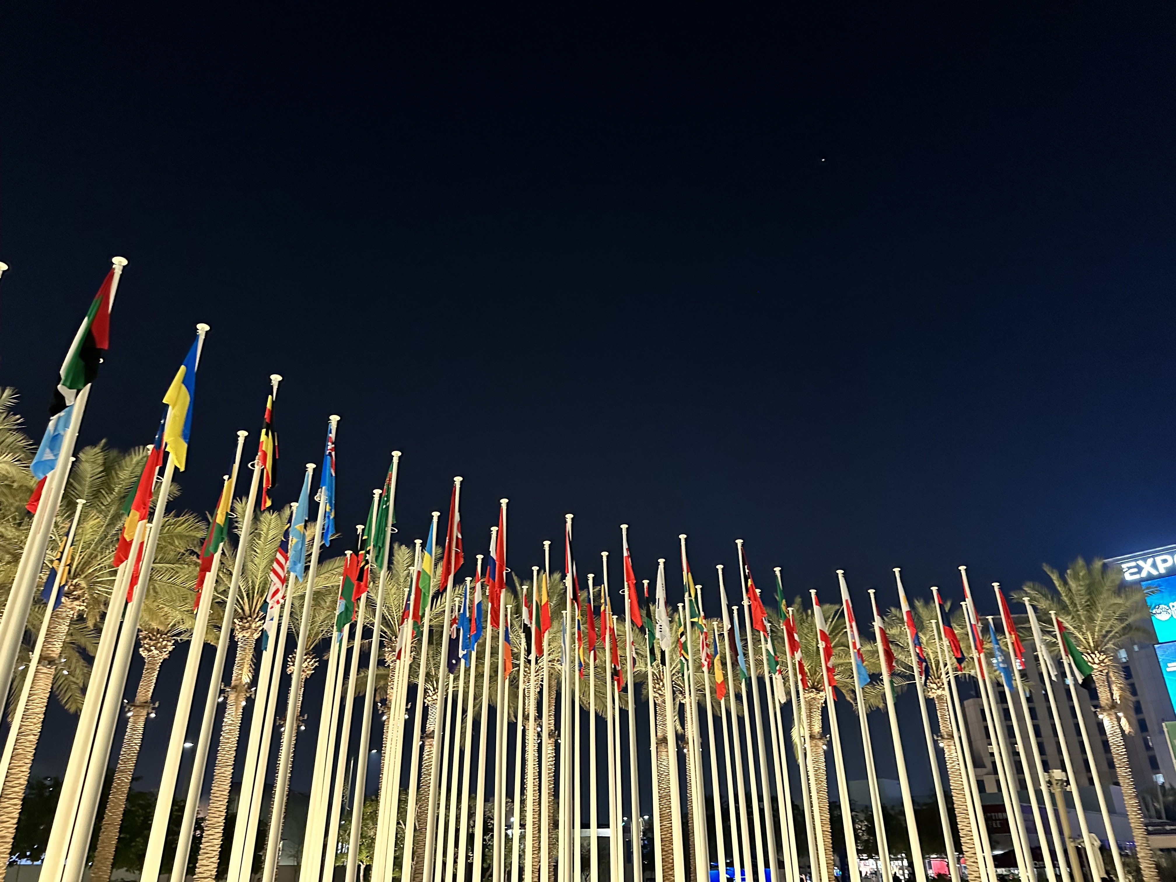 flags in night sky