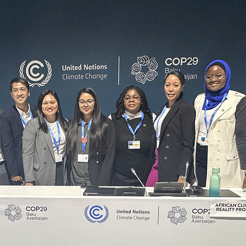 branches at cop29