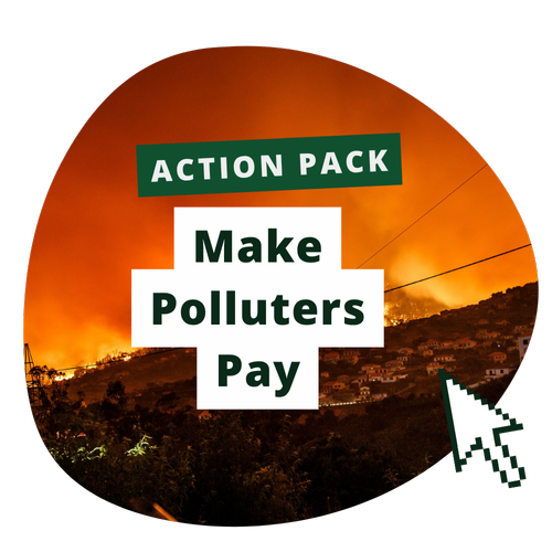 make polluters pay tile