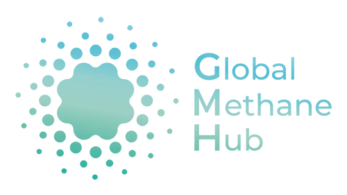 global methane hub