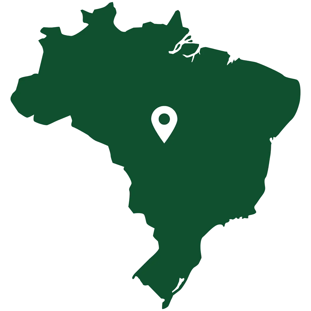 outline of brazil