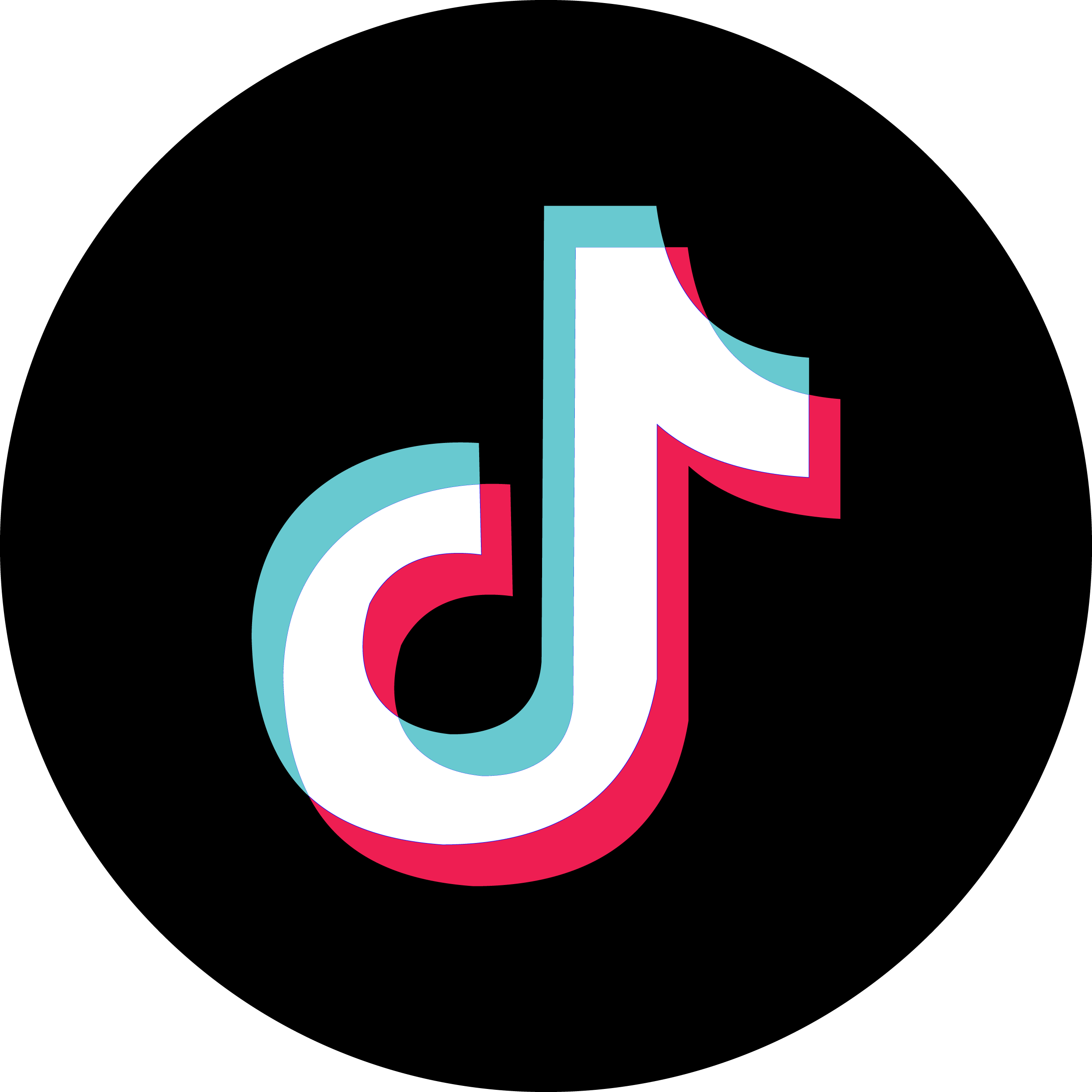 SHARE ON Tiktok