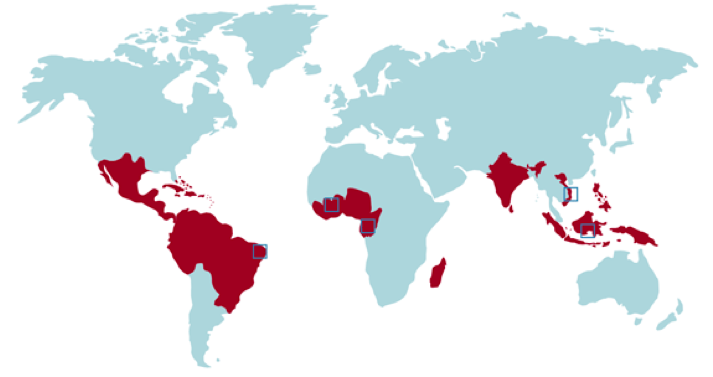 image result for map of where cocoa is grown