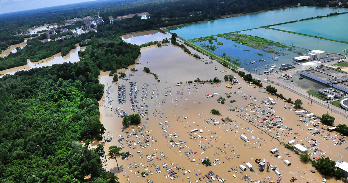WE® How the Climate Crisis is Affecting Louisiana The Climate