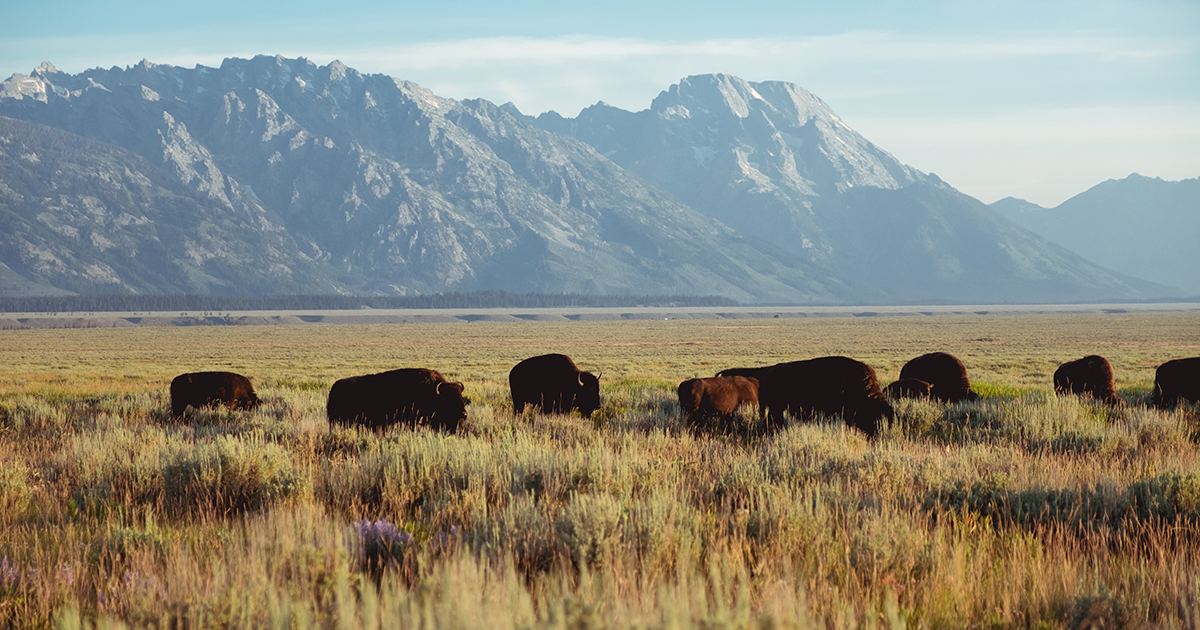 How Is the Climate Crisis Affecting the Great Plains?