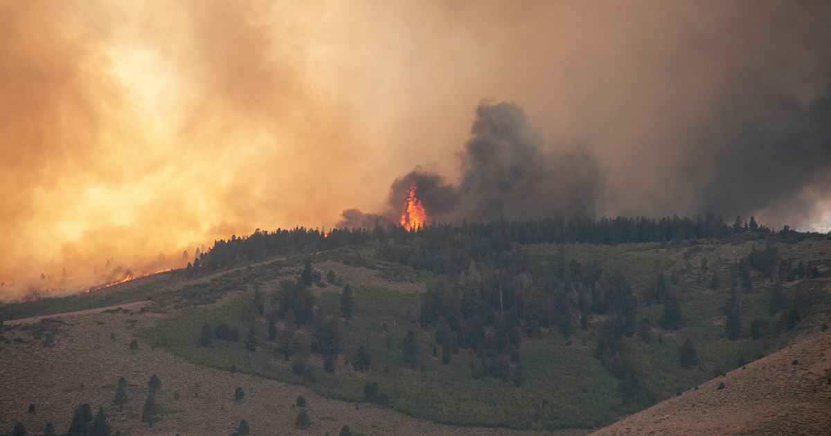 How Much Do You Know About Wildfires and Our Climate? (QUIZ) The Climate Reality Project