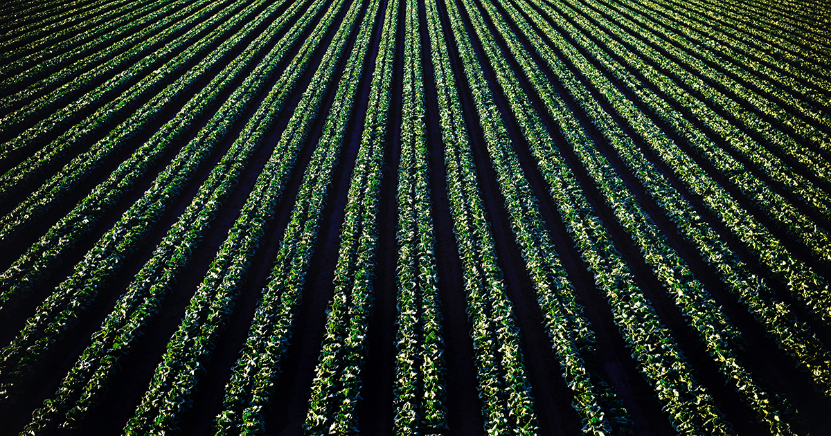regenerative-agriculture-and-municipal-climate-action-plans-the