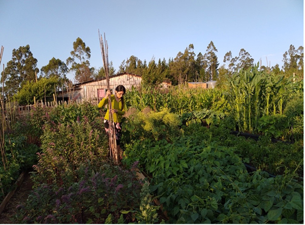 standing in a garden