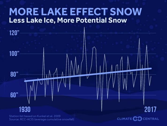 iew image on Twitter