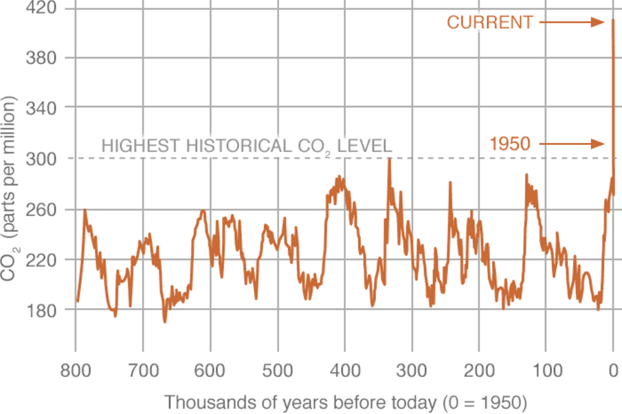 chart describing presented data