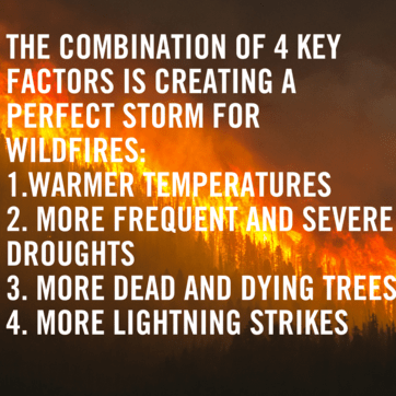 image of forest fire; “The combination of four key factors is creating a perfect storm for wildfires: 1. Warmer temperatures, 2. More frequent and severe droughts, 3. More dead and dying trees, 4. More lightening strikes.”]
