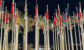 flags at un conference
