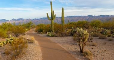 Arizona, desert