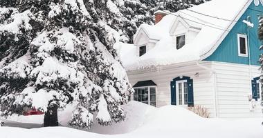 brown house covered with snow near trees during daytime