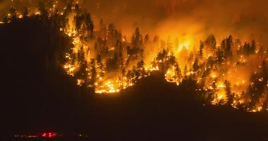 Forest Fire Burning treeline