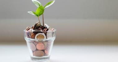 plant growing out of coins