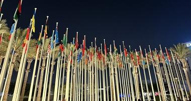 Illuminated flags at night at COP 28