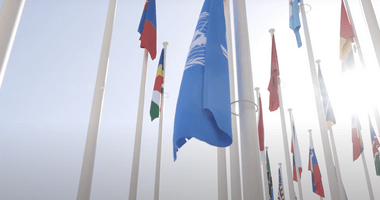 UN flags