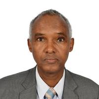 Ambassador Ali Mohamed