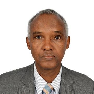 Ambassador Ali Mohamed