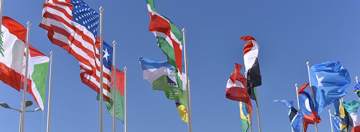 flags of many nations
