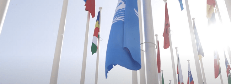UN flags