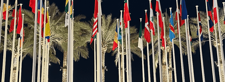 flags at un conference