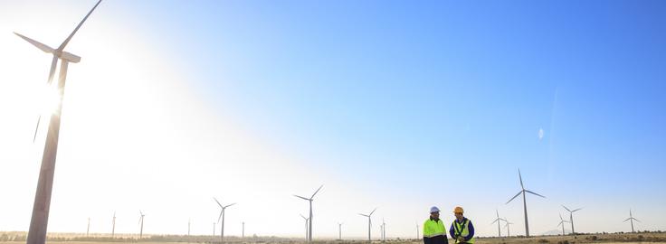 Two people overlooking wind turbines.