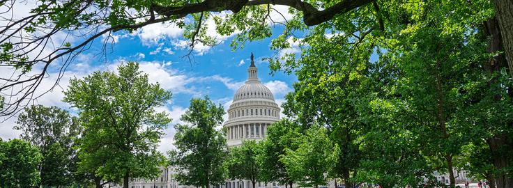 capitol building
