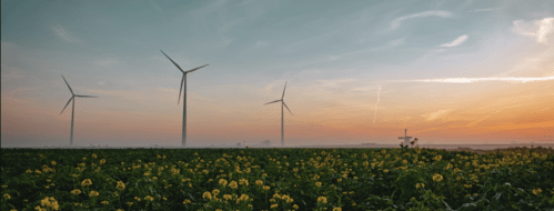 Turbines among sunflowers at sunrise