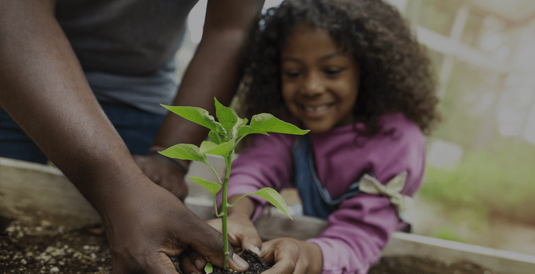 Child planting flower