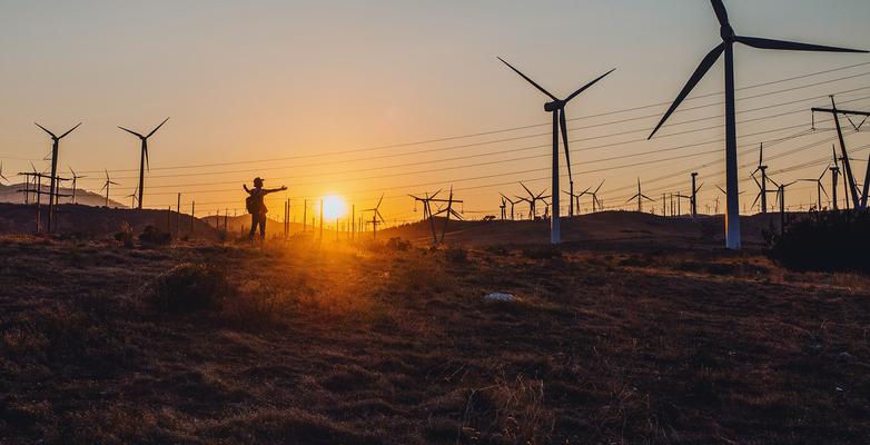 Person walking among turbines at sunset