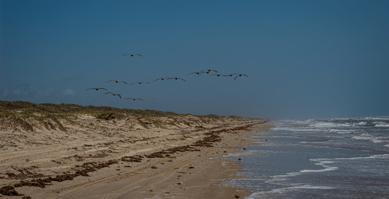 Houston Beach Dark