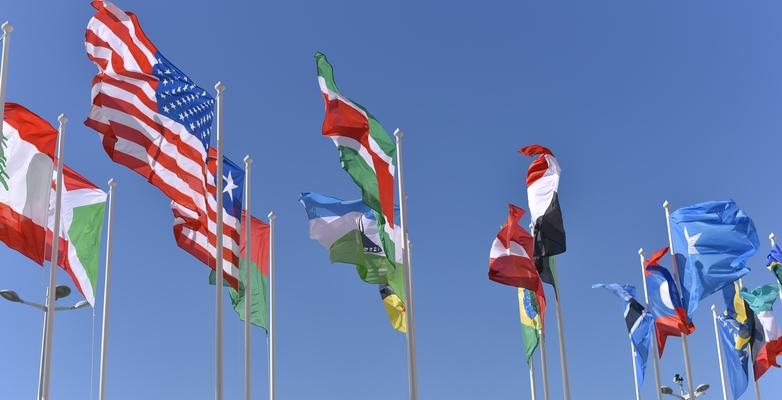 flags, COP 27