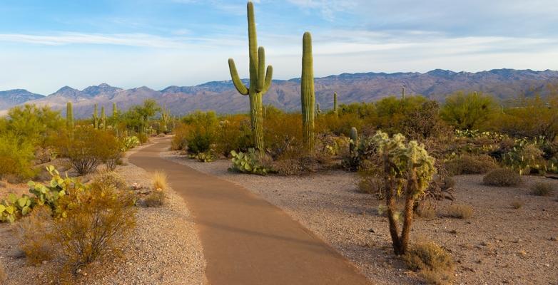 Arizona, desert