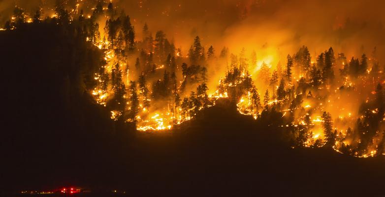 Forest Fire Burning treeline