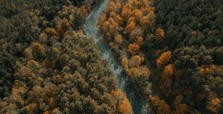 New York, forest, river