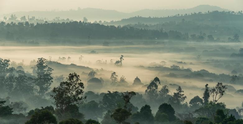 cameroon landscape