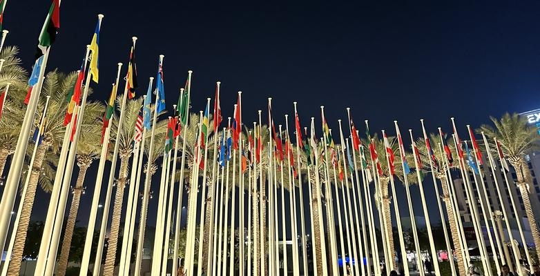 Illuminated flags at night at COP 28