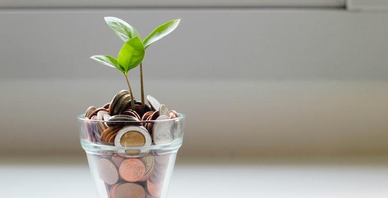 Cup of Change with plant sprouting