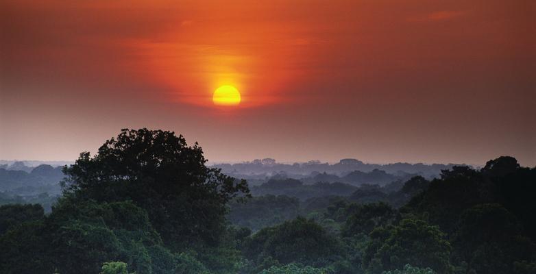 Amazon Rainforest