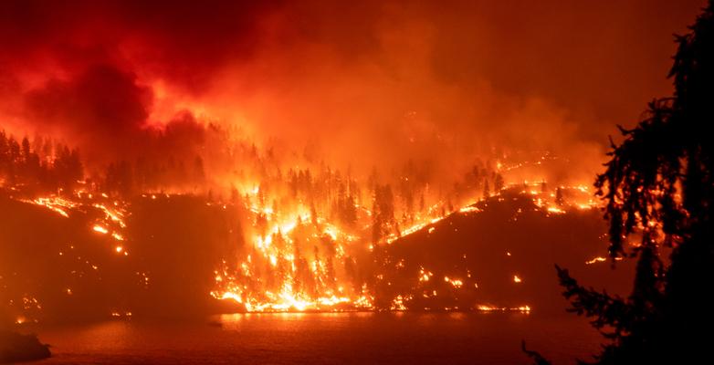 Forest fire burning