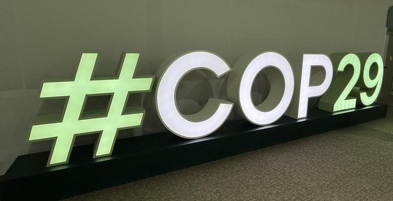 COP 29