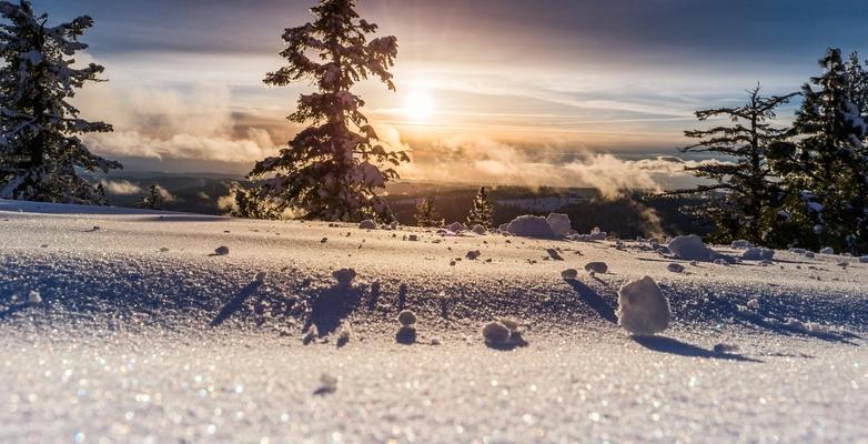 Snow on land