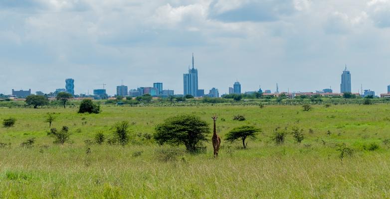 Nairobi national park with giraffe walking and city visible in skyline