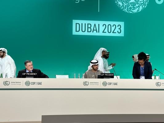 COP 28 Negotiators